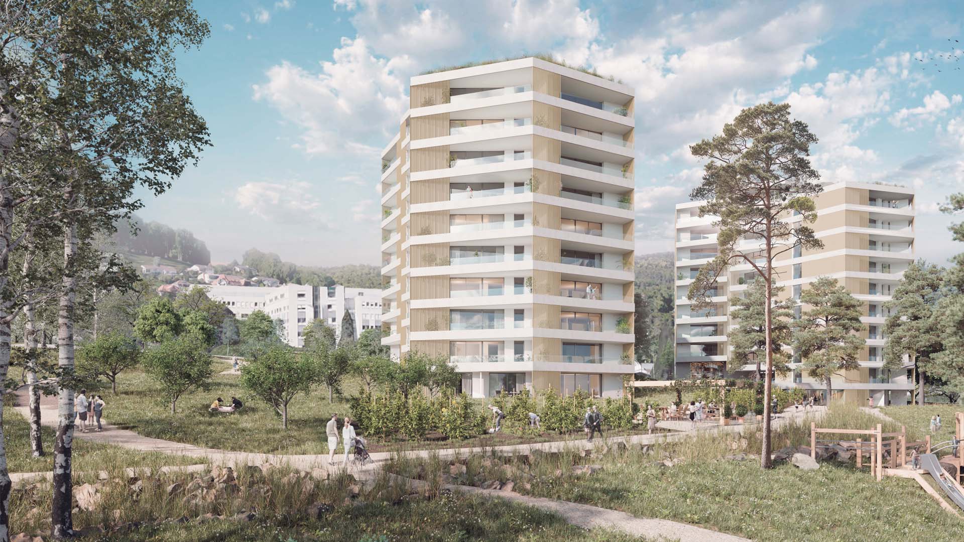 Projet Image 5